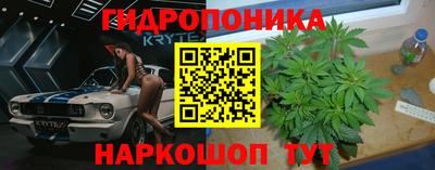 прущая мука Вязьма