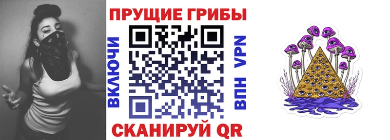Галлюциногенные грибы MAGIC MUSHROOMS где можно купить наркотик Кинешма