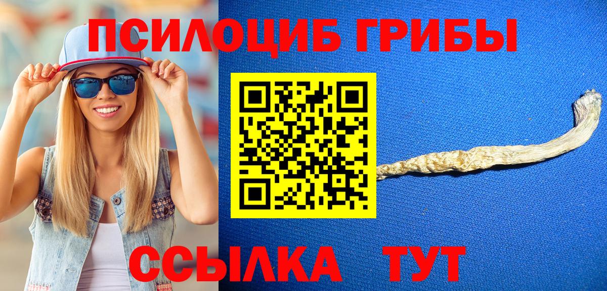 магазин  наркотиков  Псилоцибиновые грибы мухоморы  Вход с VPN  Кинешма 